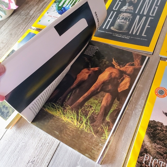 National Geographic Magazine Bundle 6pc - Picture 10 of 16